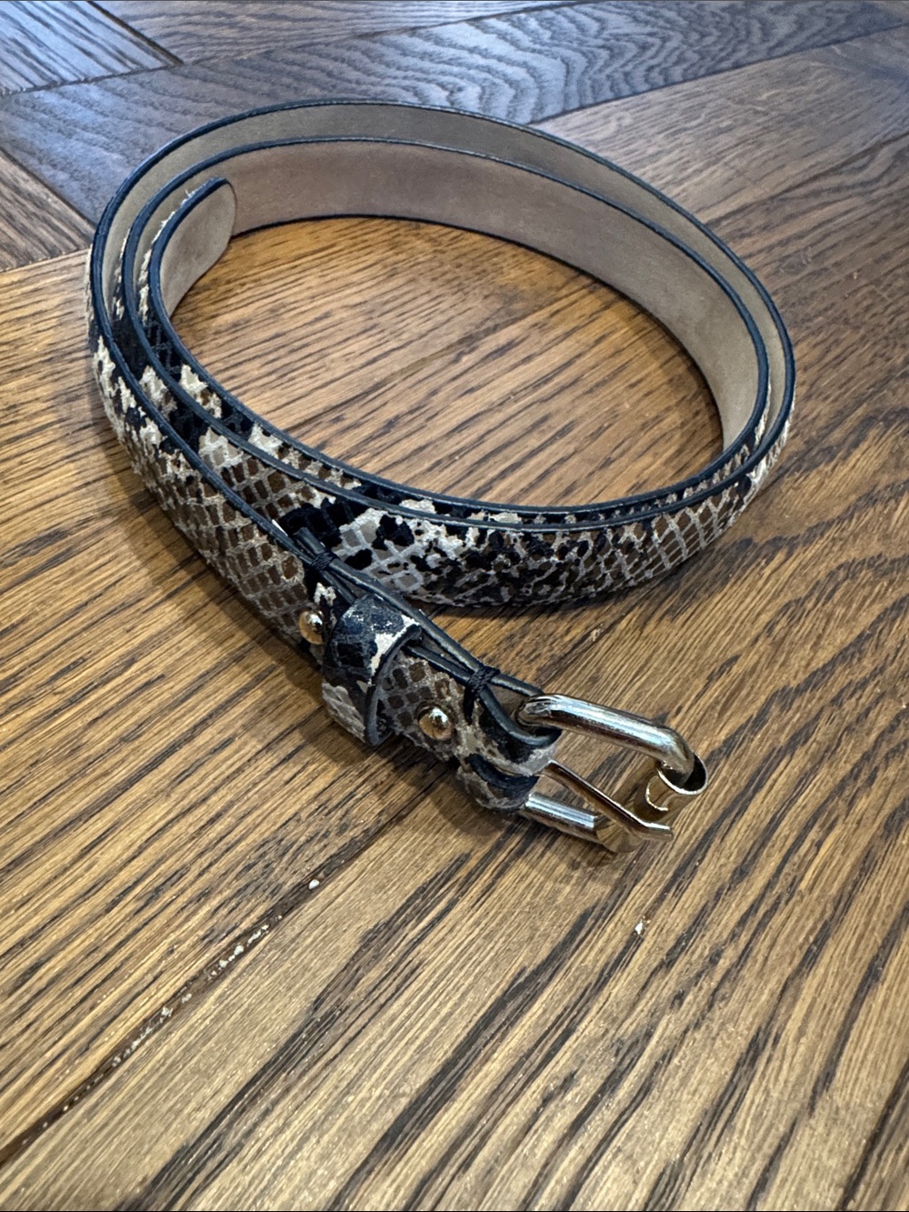 Ann Taylor Black and Brown Snake-Print Leather Belt - Medium